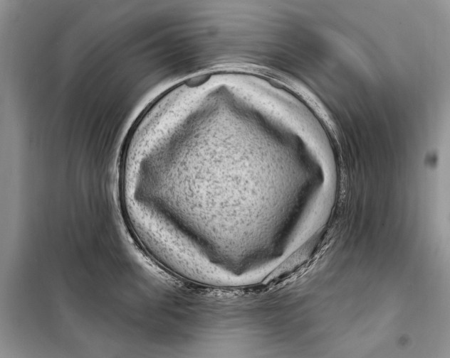 X0000098170955200805151113