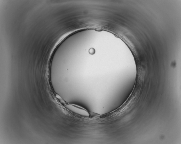 X0000098170956200805151113