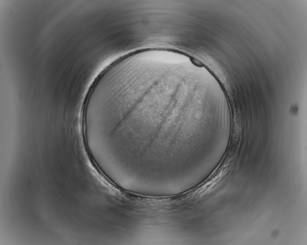 X0000098170958200805151113