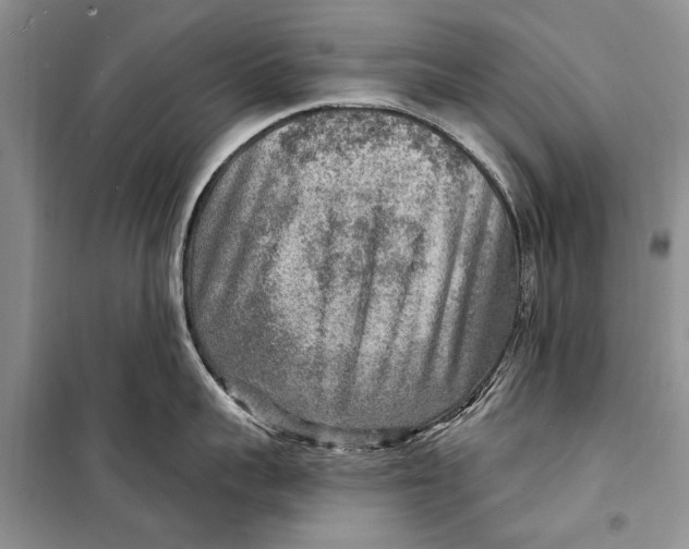 X0000098170959200805151113