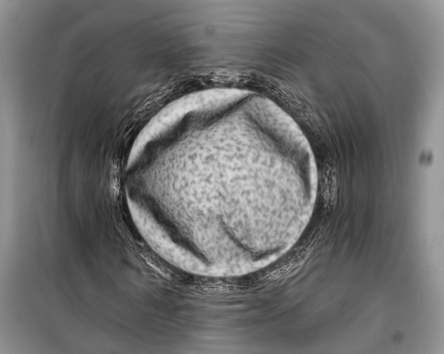 X0000098170962200805151113