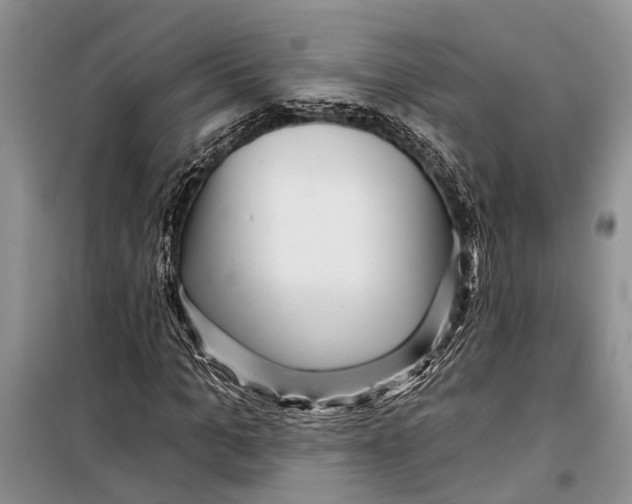 X0000098170965200805151113