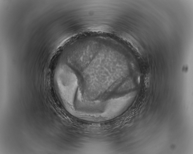 X0000098170968200805151112