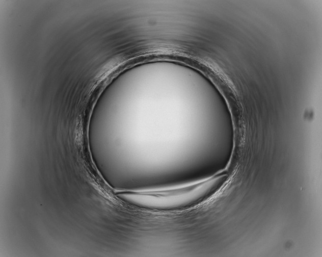 X0000098170969200805151112