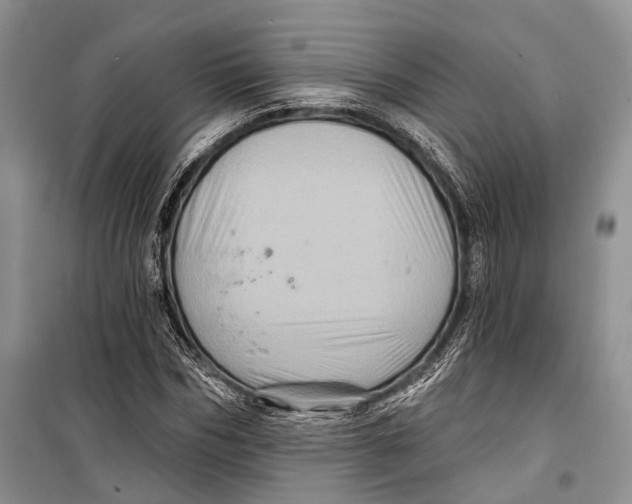 X0000098170970200805151112