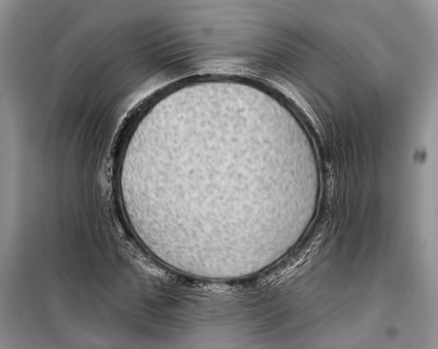 X0000098170971200805151112