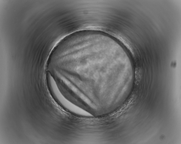 X0000098170972200805151112