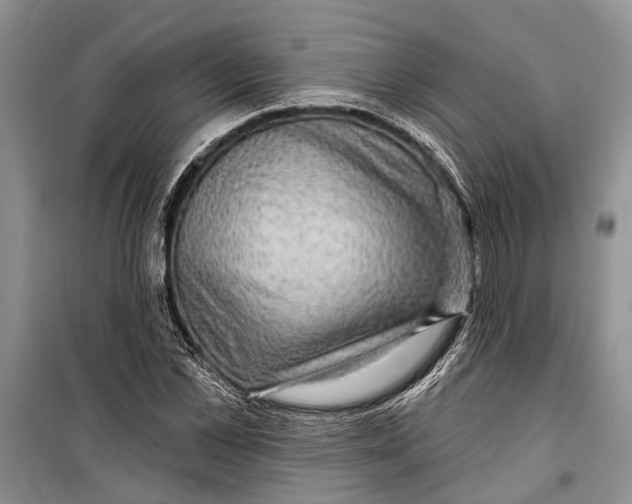 X0000098170973200805151112