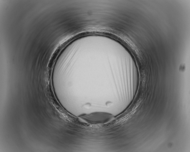 X0000098170974200805151112