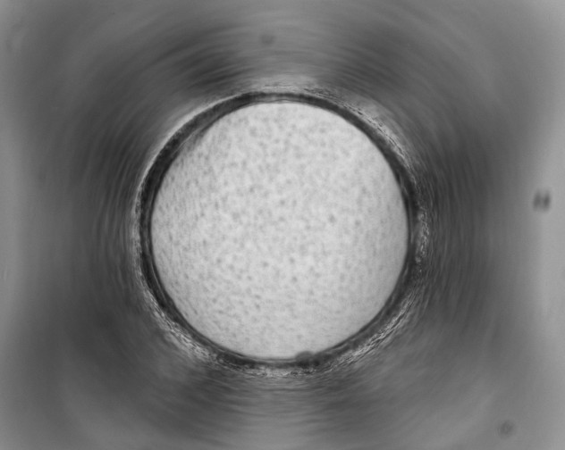 X0000098170976200805151112