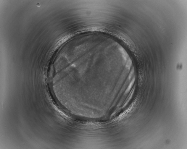 X0000098170977200805151112