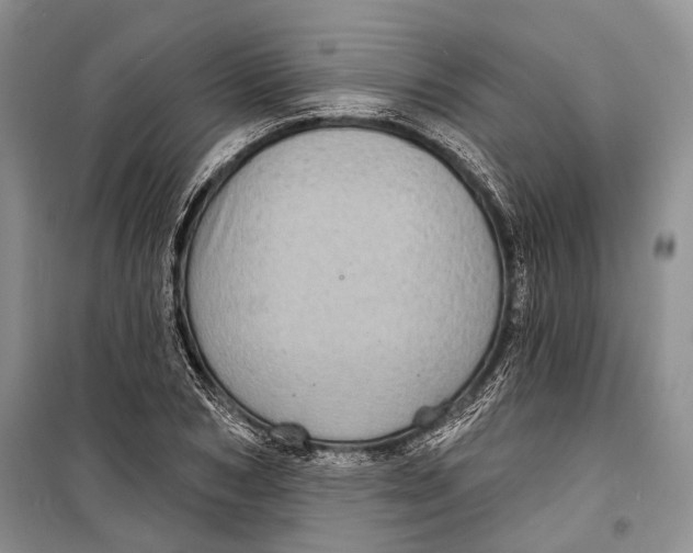 X0000098170978200805151112