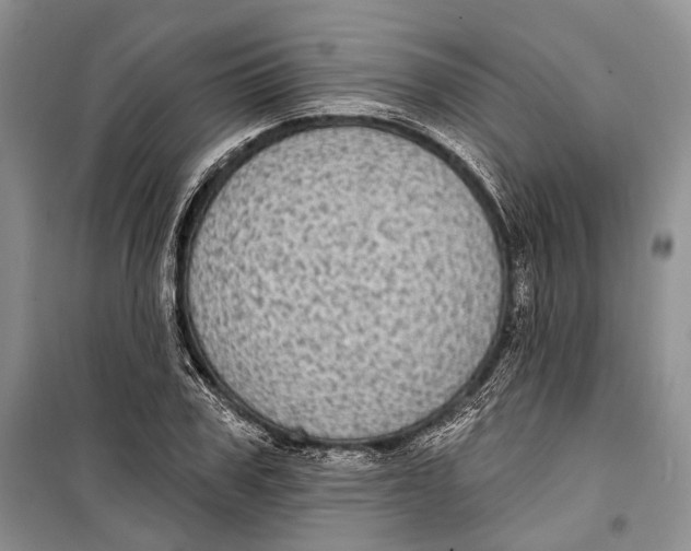 X0000098170979200805151112