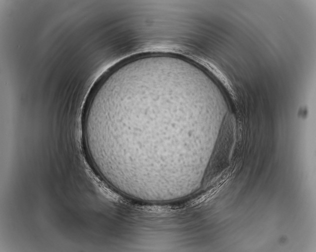 X0000098170980200805151112