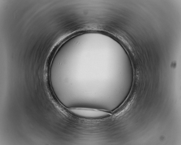 X0000098170981200805151112