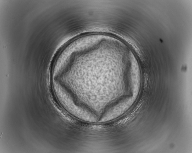 X0000098170982200805151112