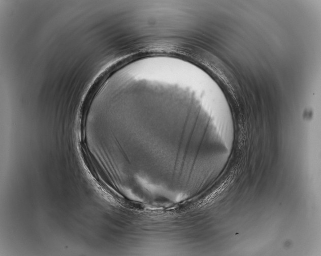 X0000098170984200805151112