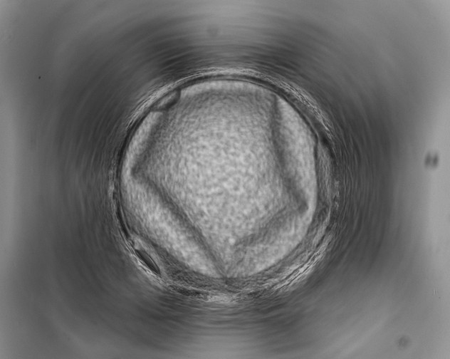 X0000098170985200805151112