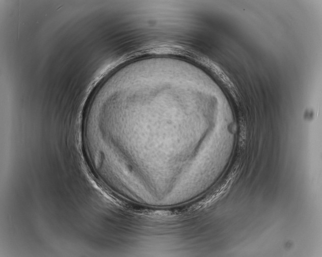 X0000098170986200805151112