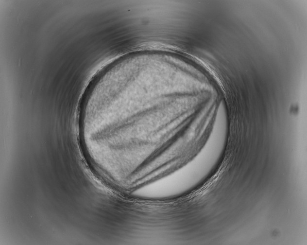 X0000098170987200805151112