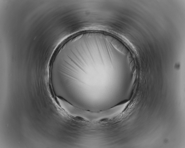 X0000098170988200805151112