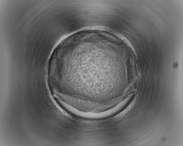 X0000098170989200805151112