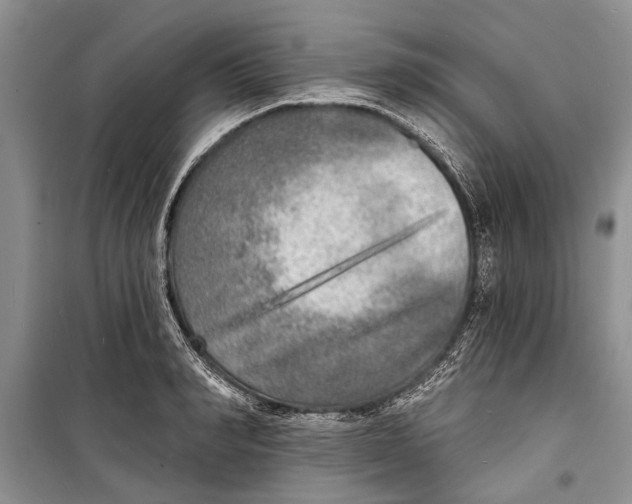 X0000098170990200805151112