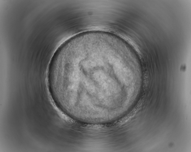 X0000098170991200805151112