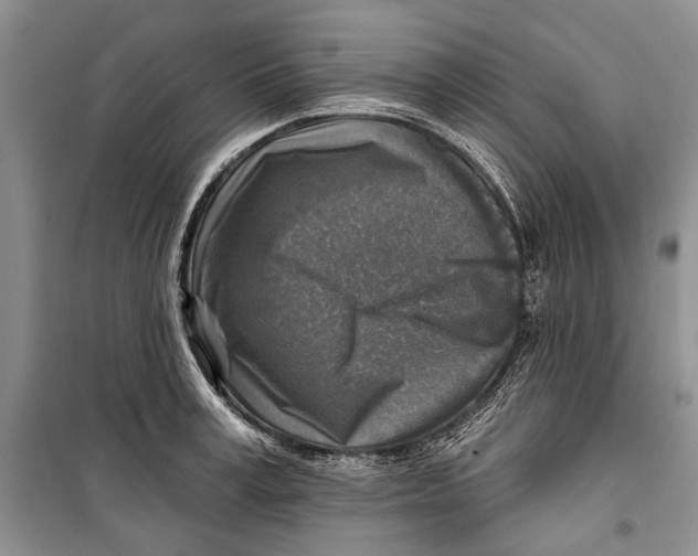 X0000098170995200805151112