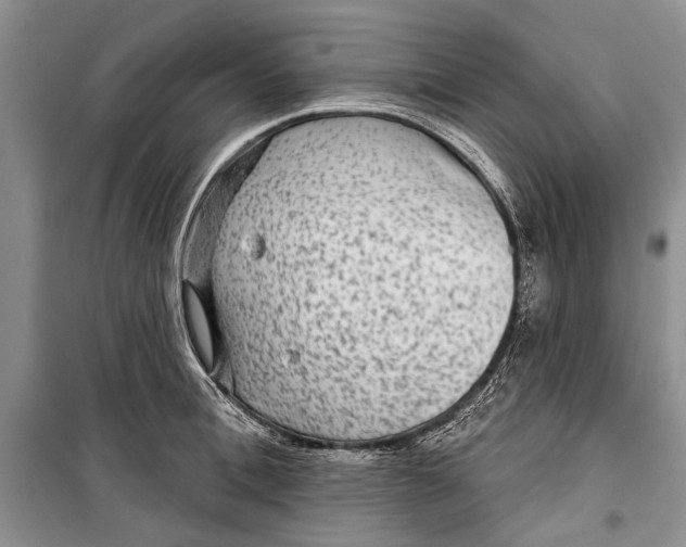 X0000098170996200805151112