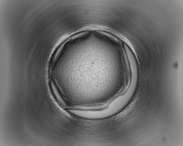 X0000098170997200805151112