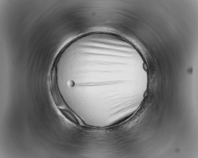 X0000098170999200805151112