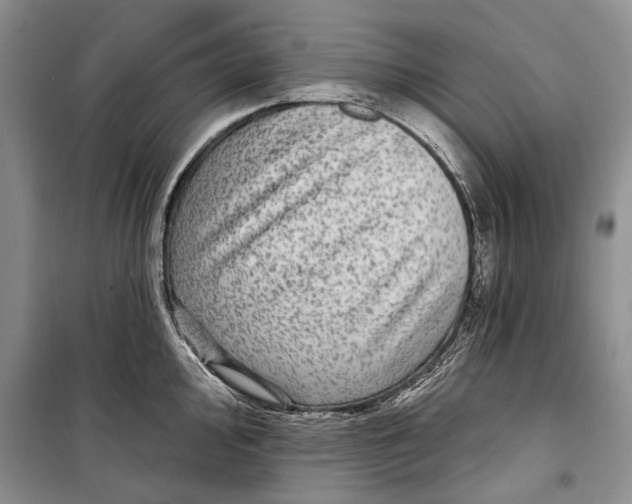 X0000098171000200805151112