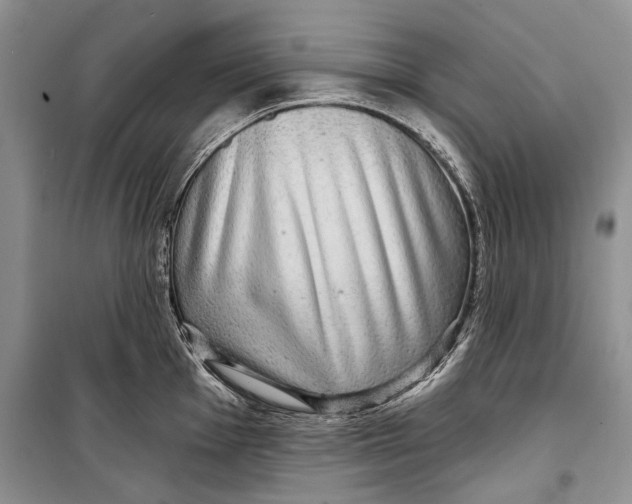 X0000098171001200805151112