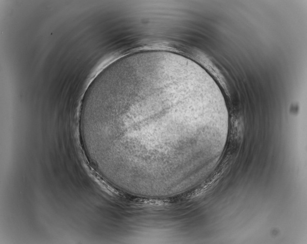 X0000098171002200805151112