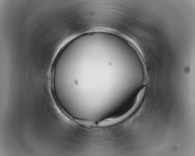 X0000098171003200805151112