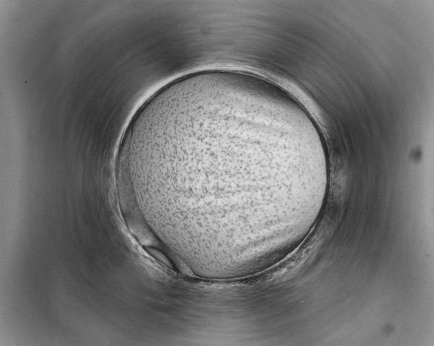 X0000098171004200805151112