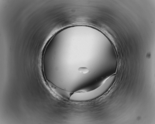 X0000098171005200805151112