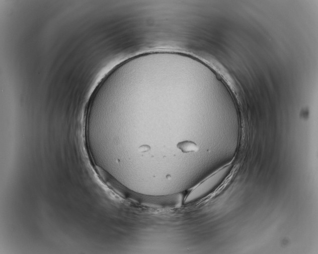 X0000098171006200805151112