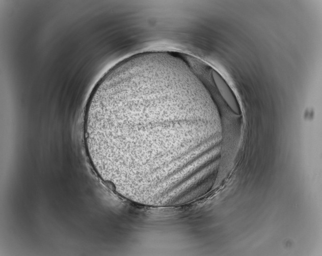 X0000098171008200805151112