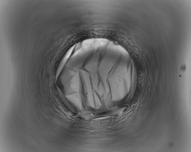 X0000098171009200805151111