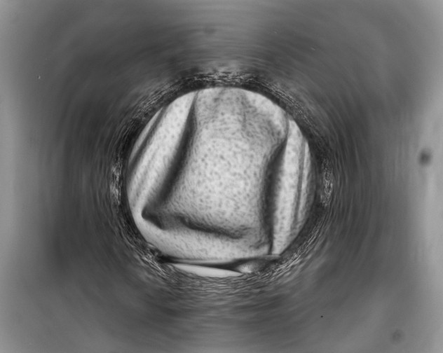 X0000098171010200805151111