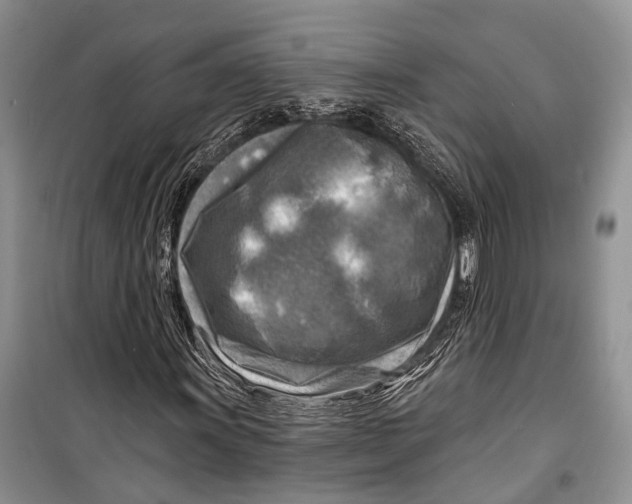 X0000098171011200805151111