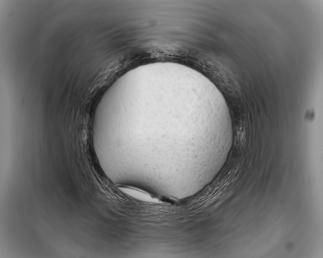 X0000098171012200805151111