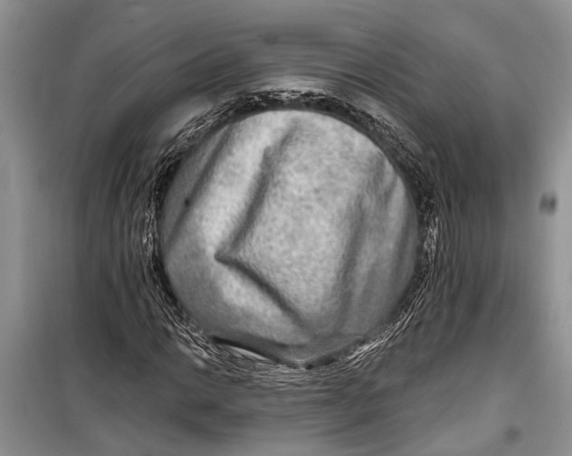 X0000098171014200805151111