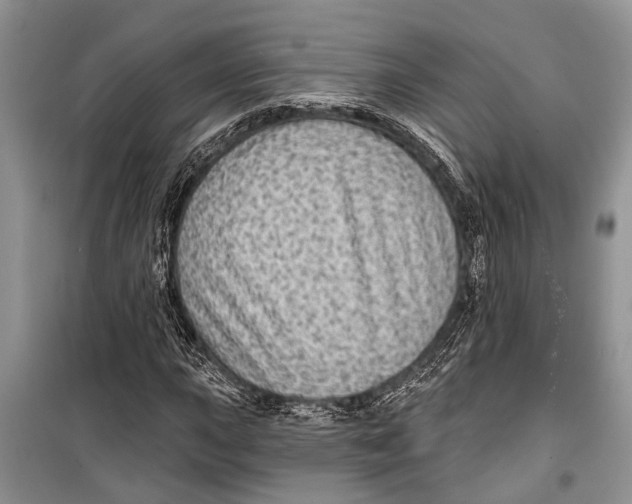 X0000098171015200805151111