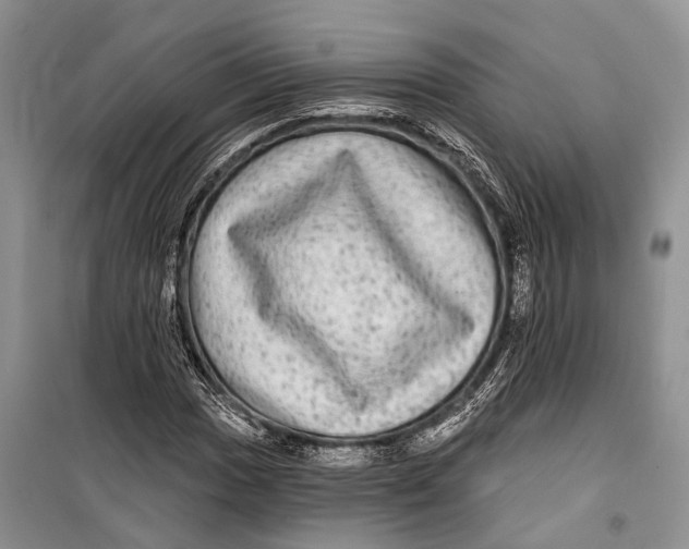 X0000098171017200805151111