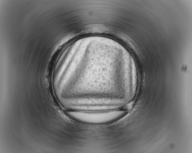 X0000098171018200805151111