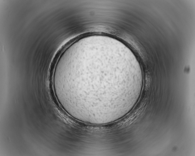 X0000098171020200805151111