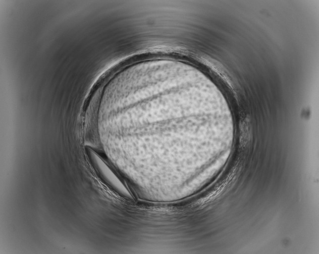 X0000098171021200805151111